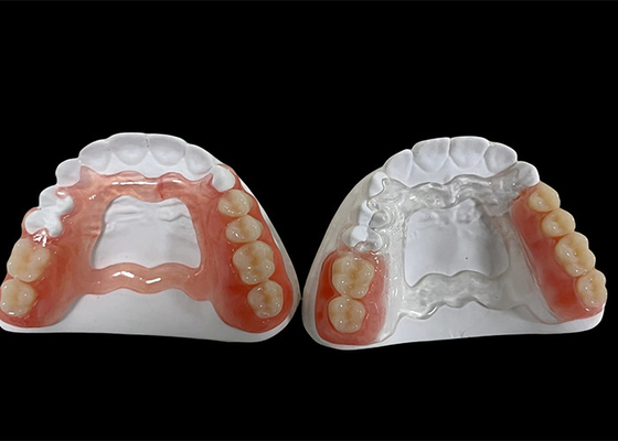 주문 부분적으로 제거할 수 있는 치아, 씹고 말하기 위한 치아 교제 online manufacture